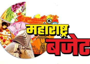 महाराष्ट्र राज्य अर्थसंकल्प २०२१-२२ – ॲड. प्रियदर्शी तेलंग