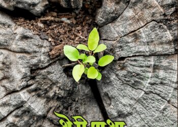 शोधाची नवी वाट : थेरीगाथा नवे आकलन