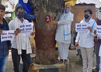 दर्यापूर येथे वंचित बहुजन आघाडीचे चिपको आंदोलन