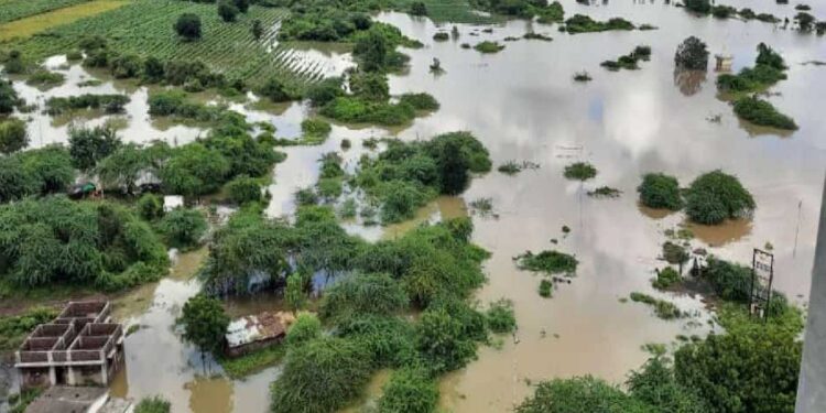 चित्र प्रातिनिधिक