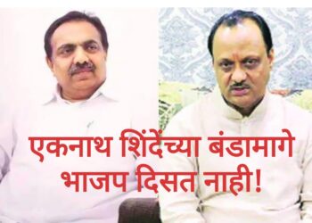 अजित पवार आणि जयंत पाटिल भाजप समर्थनात खोटं बोलतायत?