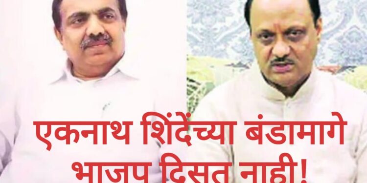 अजित पवार आणि जयंत पाटिल भाजप समर्थनात खोटं बोलतायत?