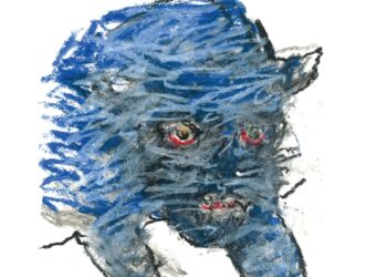 थरकाप वाढविणारी टोळधाड