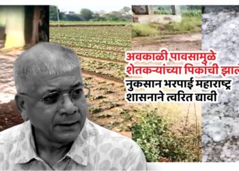 अवकाळी पावसाच्या कठीण काळात ॲड. प्रकाश आंबेडकर शेतकऱ्यांच्या पाठीशी!