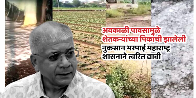 अवकाळी पावसाच्या कठीण काळात ॲड. प्रकाश आंबेडकर शेतकऱ्यांच्या पाठीशी!