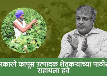 सरकारने कापूस उत्पादक शेतकऱ्यांच्या पाठीशी राहायला हवे : ॲड. आंबेडकर