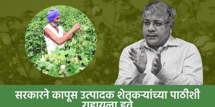 सरकारने कापूस उत्पादक शेतकऱ्यांच्या पाठीशी राहायला हवे : ॲड. आंबेडकर