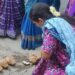 ‘वंचित’ च्या पाठपुराव्याला यश