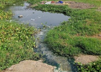 जलकुंभी काढण्याचे काम झाल्याचा मनपाचा दावा दिशाभूल करणारा – राजेंद्र पातोडे