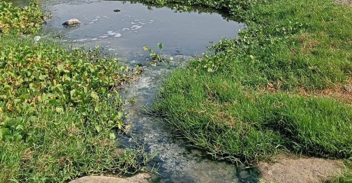 जलकुंभी काढण्याचे काम झाल्याचा मनपाचा दावा दिशाभूल करणारा – राजेंद्र पातोडे