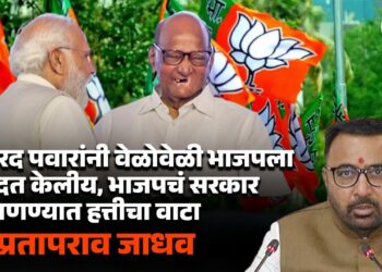 शरद पवारांनी वेळोवेळी भाजपला मदत केलीय, राज्यात भाजपचं सरकार आणण्यात त्यांचा सिंहाचा नाही तर हत्तीचा वाटा - प्रतापराव जाधव