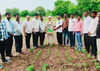 वसंतराव नाईक जयंतीनिमित्त वंचित बहुजन आघाडीकडून 'कृषी दिन' साजरा 