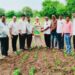 वसंतराव नाईक जयंतीनिमित्त वंचित बहुजन आघाडीकडून 'कृषी दिन' साजरा 