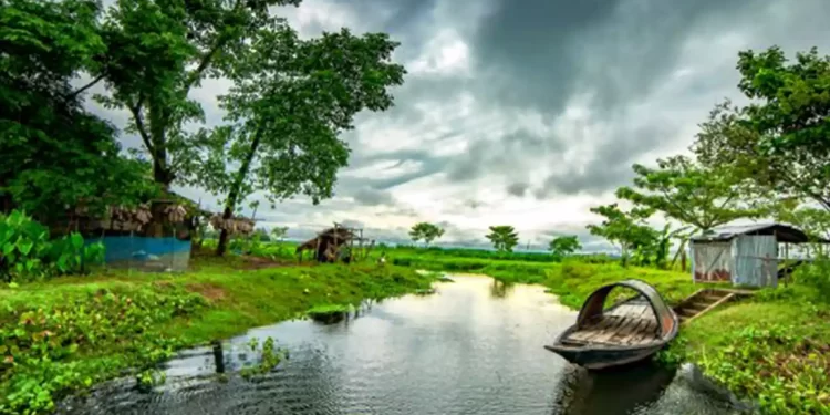 Monsoon News : नागपुरात मुसळधार पाऊस, जनजीवन विस्कळीत; शाळा-महाविद्यालयांना सुट्टी जाहीर