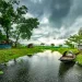 Monsoon News : नागपुरात मुसळधार पाऊस, जनजीवन विस्कळीत; शाळा-महाविद्यालयांना सुट्टी जाहीर