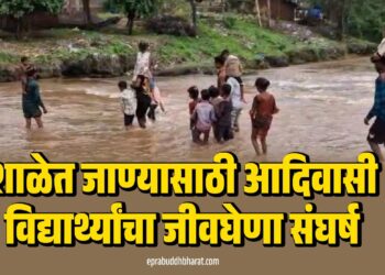 नंदुरबारच्या वाघेरे वस्तीतील विद्यार्थ्यांचा शिक्षणासाठी जीवघेणा प्रवास; पूल रखडल्याने भविष्यावर गदा