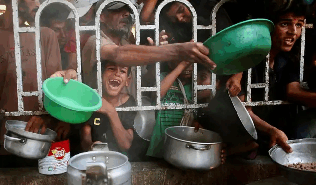 गाझामध्ये उपासमारीमुळे हाहाकार: मृतांचा आकडा वाढतोय, लहान मुले सर्वाधिक बळी