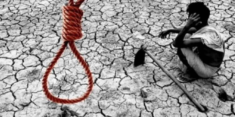 मराठवाड्यात शेतकरी आत्महत्यांचा भयावह आकडा: साडेसहा महिन्यांत ५४३ शेतकऱ्यांनी संपवली जीवनयात्रा