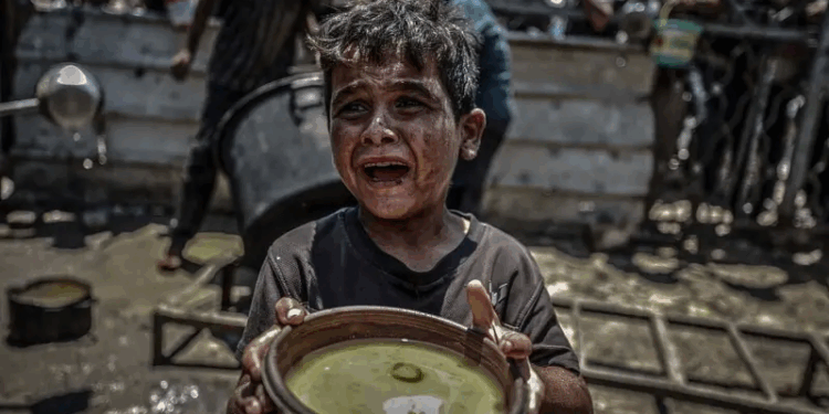 गाझामध्ये उपासमारीचा हाहाकार: २४ तासांत १४ मृत्यू, मृतांमध्ये नवजात बालकांचा समावेश