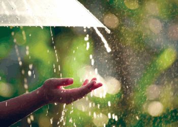 महाराष्ट्रात पावसाचा जोर घटणार; विदर्भात मात्र 'यलो अलर्ट' कायम!