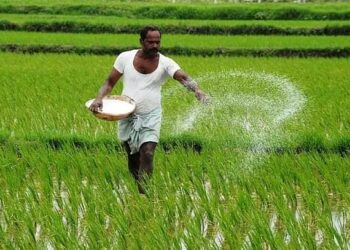 ‎’अ‍ॅग्रीस्टॅक’मुळे डिजिटल क्रांती: महाराष्ट्रातील शेतकऱ्यांना आता पीक कर्जासाठी कागदपत्रांची गरज नाही!‎‎