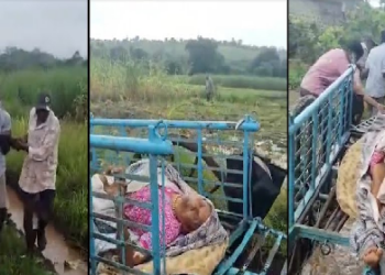 Kolhapur Gadhinglaj : प्रशासनाच्या दुर्लक्षामुळे ग्रामस्थ संतप्त ; आजारी आजीला चिखलातून बैलगाडीने नेण्याची वेळ 