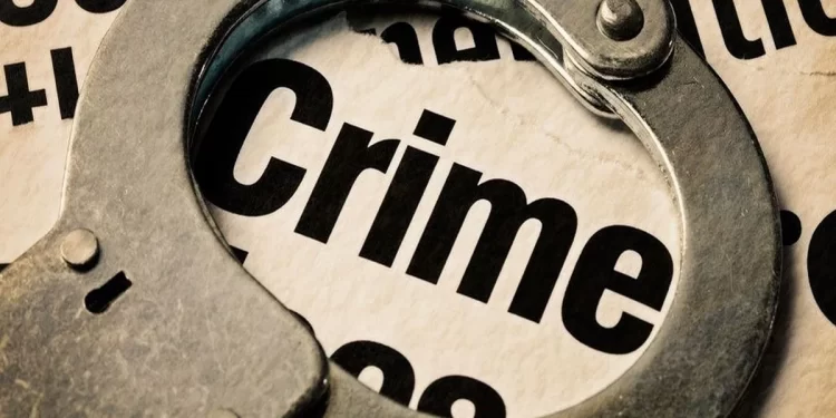 ग्रामसभेतील वादातून महिला सरपंचावर पेट्रोल हल्ला; दुचाकी जाळून खाक, मुलगा बचावला