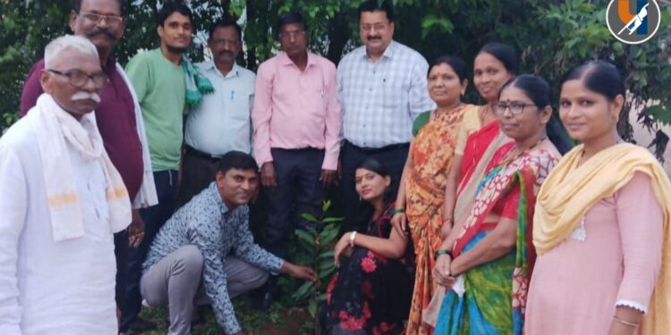 वंचित बहुजन आघाडीतर्फे साकोलीच्या शारदा चौकात वृक्षारोपण