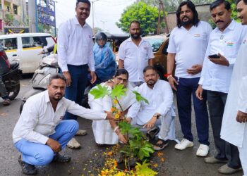 कल्याण-डोंबिवलीच्या रस्त्यांवरील खड्ड्यांची समस्या; 'स्वातंत्र्यदिना'च्या दिवशी झाडे लावून 'वंचित' बहुजन आघाडीचा निषेध