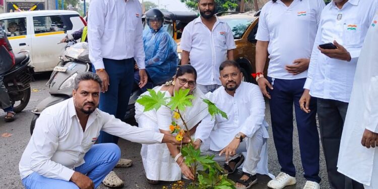 कल्याण-डोंबिवलीच्या रस्त्यांवरील खड्ड्यांची समस्या; 'स्वातंत्र्यदिना'च्या दिवशी झाडे लावून 'वंचित' बहुजन आघाडीचा निषेध
