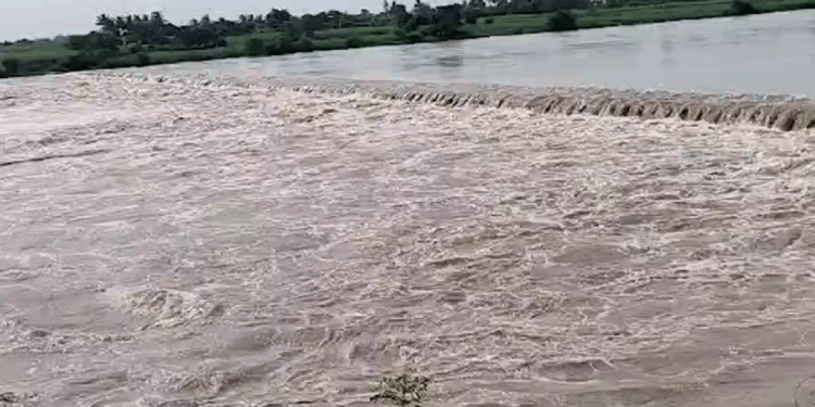 सोलापूरला पुराचा धोका वाढला! हिप्परगा तलावातून ६०० क्युसेकने विसर्ग, नदी-नाल्यांना पूर