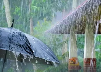 राज्यात पुढील ५ दिवस ‘धुवॉंधार’ पाऊस! २१ जिल्ह्यांना ‘ऑरेंज अलर्ट’, नागरिकांना सतर्कतेचा इशारा