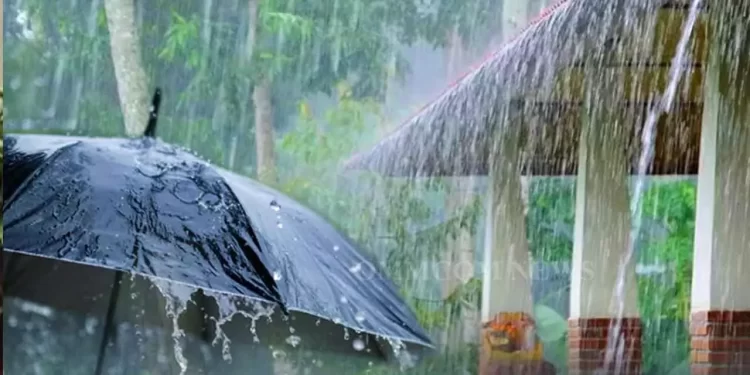 राज्यात पुढील ५ दिवस ‘धुवॉंधार’ पाऊस! २१ जिल्ह्यांना ‘ऑरेंज अलर्ट’, नागरिकांना सतर्कतेचा इशारा