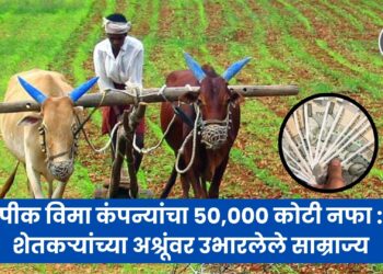 पीक विमा कंपन्यांचा ५०,००० कोटी नफा : शेतकऱ्यांच्या अश्रूंवर उभारलेले साम्राज्य