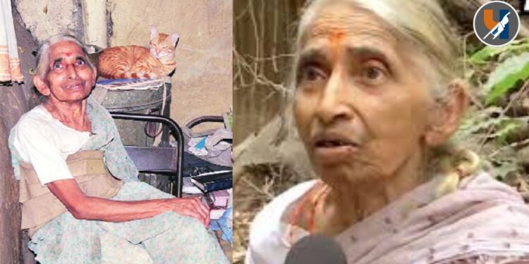 Pune : पर्यावरणपूरक जीवनशैली, प्रसिद्ध वनस्पतीशास्त्रज्ञ डॉ. हेमा साने यांचे निधन; ३० हून अधिक पुस्तके लिहिली