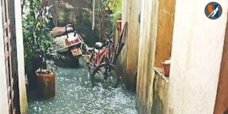 Mumbai Sewage Problem : काळाचौकीत सांडपाण्याचा कहर; आलिशान इमारतींचा त्रास चाळकऱ्यांना