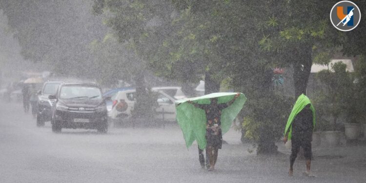 Osmanabad : अतिवृष्टीने परंडा तालुक्यात पूर; जनजीवन विस्कळीत, अनेक मार्ग बंद