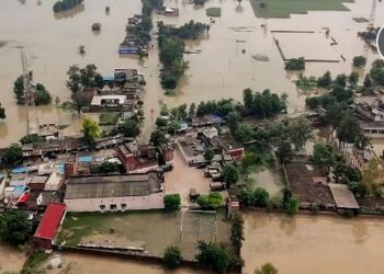 पंजाबमध्ये पुराचा कहर: ४८ बळी; शैक्षणिक संस्थांना मोठा फटका, ५४ कोटींचे नुकसान