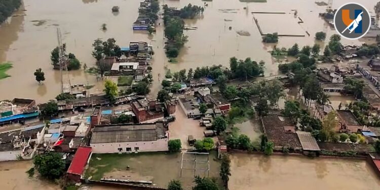 पंजाबमध्ये पुराचा कहर: ४८ बळी; शैक्षणिक संस्थांना मोठा फटका, ५४ कोटींचे नुकसान
