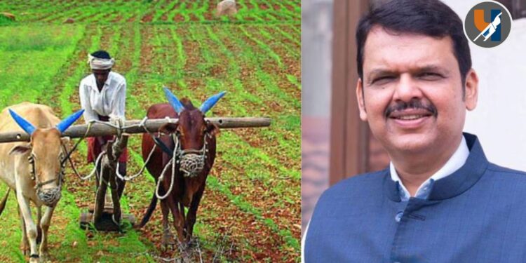 पूरग्रस्तांचे पॅकेज: केवळ खर्चाची भरपाई की, 'उत्पन्न' देणाऱ्या साधनांची पुनर्स्थापना?