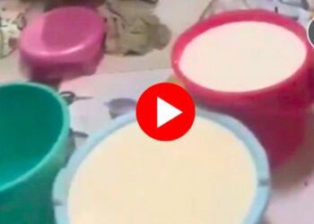 सावधान! तुम्ही पिताय ते दूध आहे की 'पांढरं विष'? अंधेरीत दूध माफियांचा भयानक कारनामा उघड!