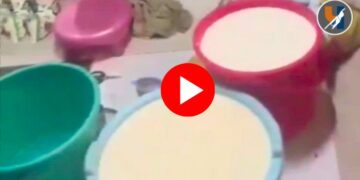 सावधान! तुम्ही पिताय ते दूध आहे की 'पांढरं विष'? अंधेरीत दूध माफियांचा भयानक कारनामा उघड!