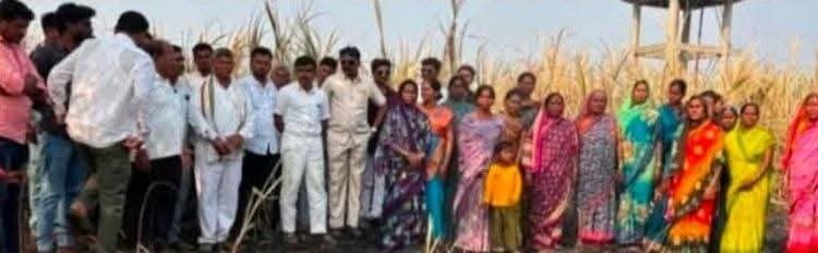 जातीय द्वेषातून भोगगावात बौद्ध शेतकऱ्यांची ४० एकर ऊस शेती जाळली; वंचित बहुजन आघाडीची घटनास्थळी पाहणी!