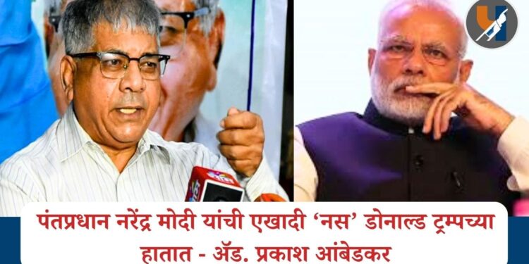 पंतप्रधान नरेंद्र मोदी यांची एखादी ‘नस’ डोनाल्ड ट्रम्पच्या हातात – ॲड. प्रकाश आंबेडकर