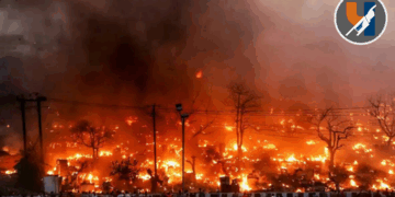 आगीचे तांडव! लखनौत काही क्षणांत २०० कुटुंबांचे संसार उघड्यावर; मोठी जीवितहानी टळली