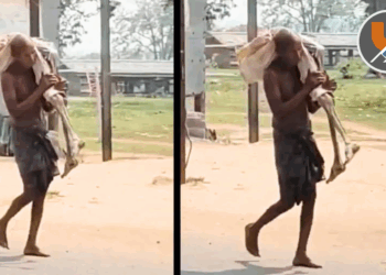 मृत बहिणीचा सांगाडा खांद्यावर घेऊन बँकेत पोहोचला भाऊ; १९,३०० रुपयांसाठी व्यवस्थेविरुद्ध आदिवासीचा मूक आक्रोश