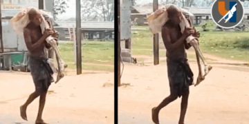 मृत बहिणीचा सांगाडा खांद्यावर घेऊन बँकेत पोहोचला भाऊ; १९,३०० रुपयांसाठी व्यवस्थेविरुद्ध आदिवासीचा मूक आक्रोश