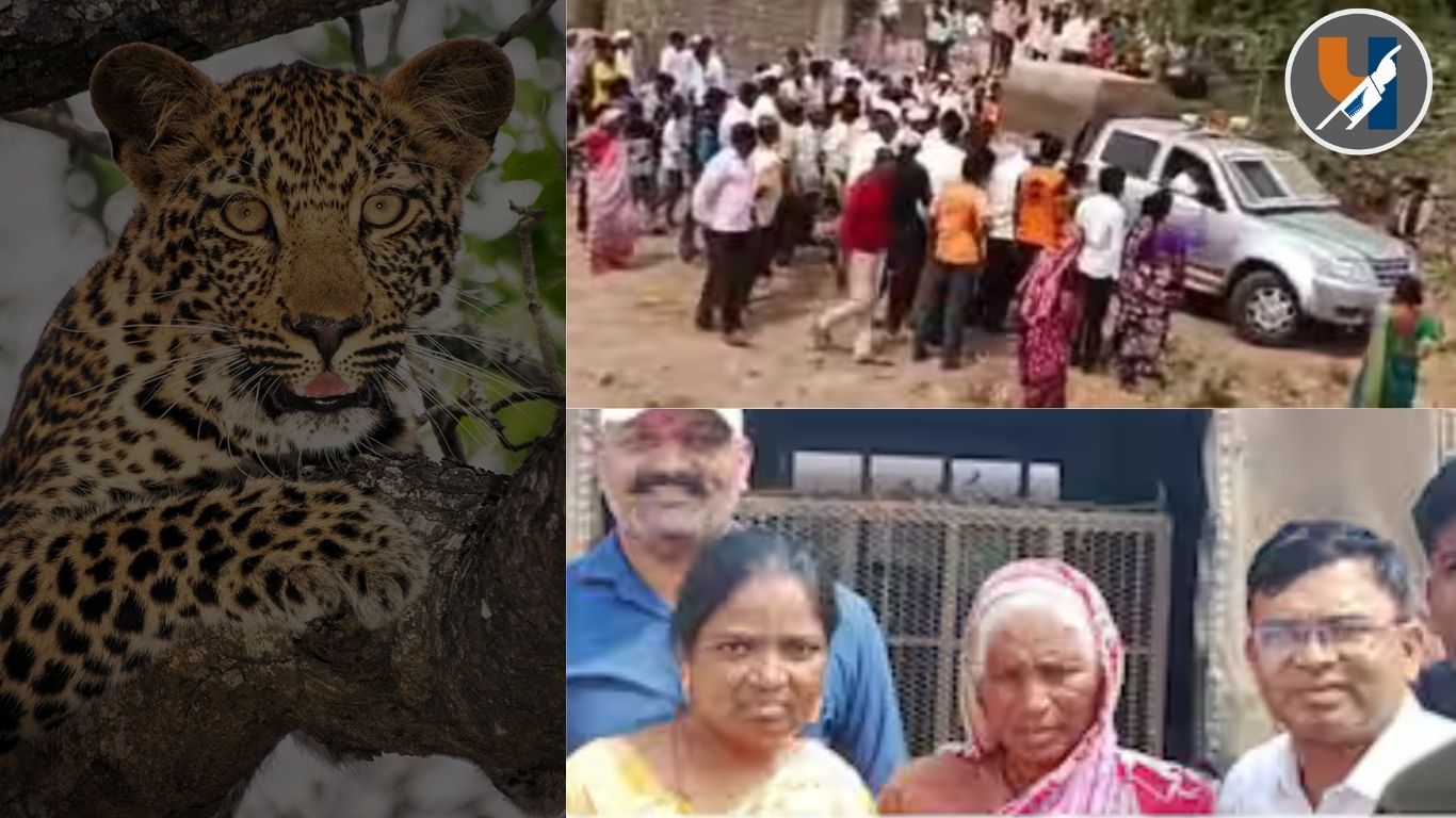 “बिबट्याला घरातच कोंडलं अन् मुलाचा जीव वाचवला”; ६५ वर्षीय गंगुबाई गायकवाड यांच्या धाडसाला सलाम !